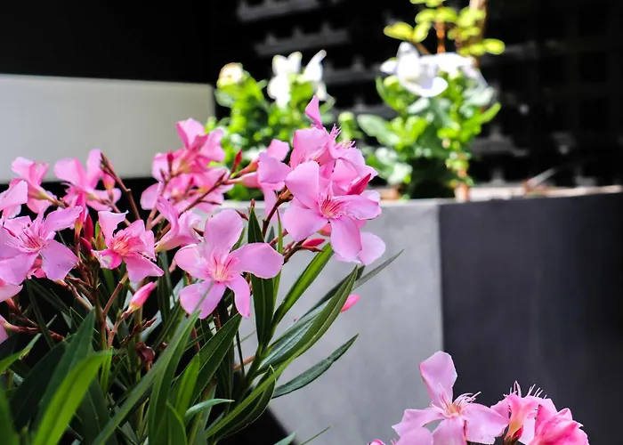 Vic Eiffel Отель Париж