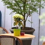 Vic Eiffel Hotel 3*
