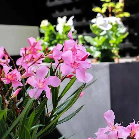 Vic Eiffel Hotel París